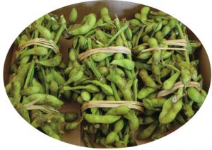 edamame001
